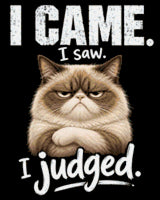 Judgemental cat with text 'I came. I saw. I judged.' Size - 40cm x 50cm