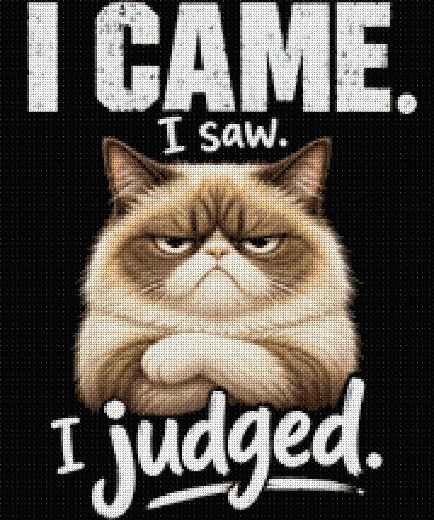 Judgemental cat with text 'I came. I saw. I judged.' Size - 50cm x 60cm