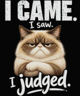 Judgemental cat with text 'I came. I saw. I judged.' Size - 50cm x 60cm