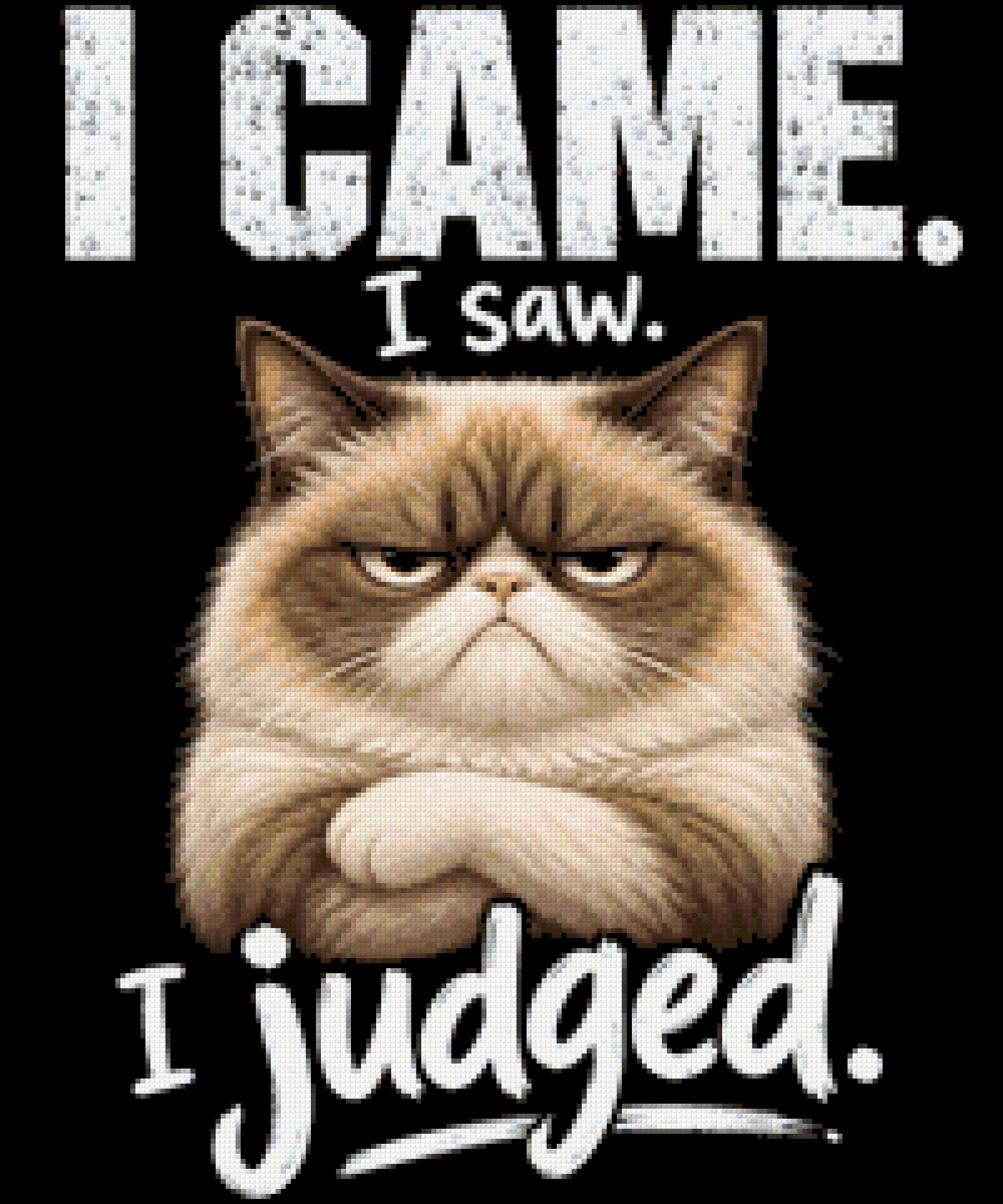 Judgemental cat with text 'I came. I saw. I judged.' Size - 50cm x 60cm
