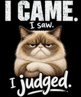 Judgemental cat with text 'I came. I saw. I judged.' Size - 50cm x 60cm