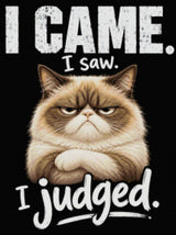 Judgemental cat with text 'I came. I saw. I judged.' Size - 60cm x 80cm