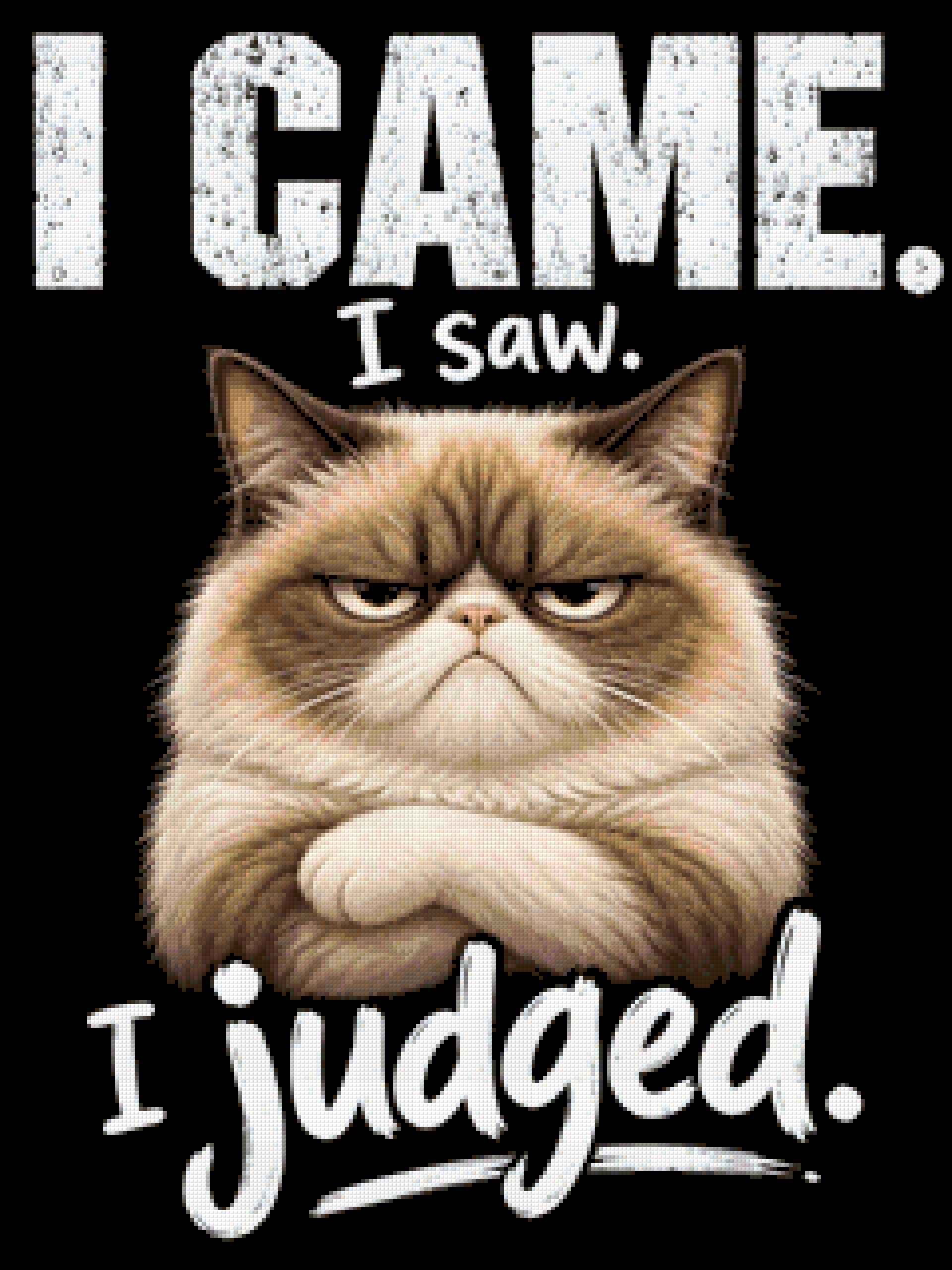Judgemental cat with text 'I came. I saw. I judged.' Size - 60cm x 80cm