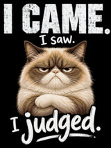 Judgemental cat with text 'I came. I saw. I judged.' Size - 60cm x 80cm