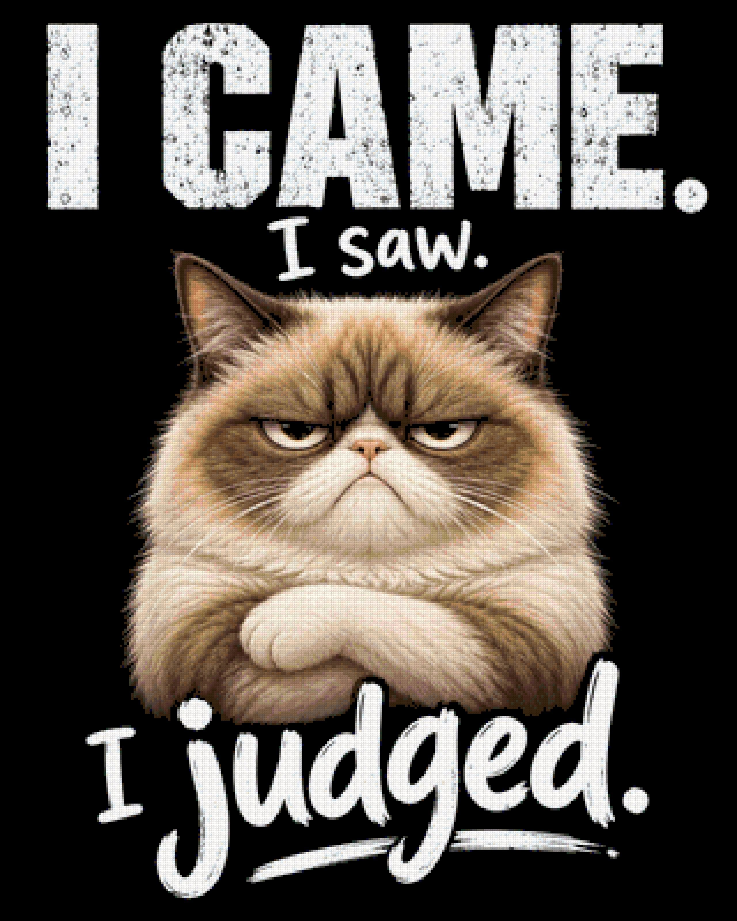 Judgemental cat with text 'I came. I saw. I judged.' Size - 80cm x 100cm
