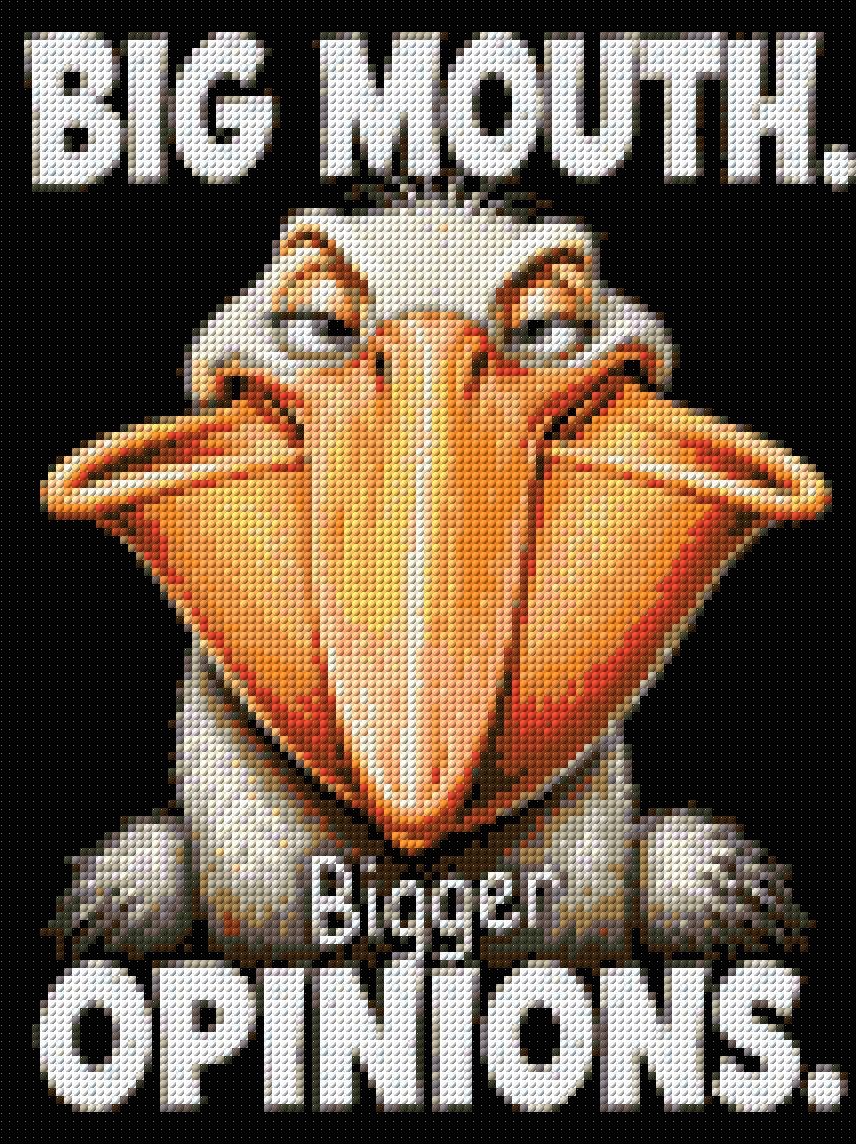 Comical pelican with a large beak and text: Big Mouth. Bigger Opinions. Size - 30cm x 40cm