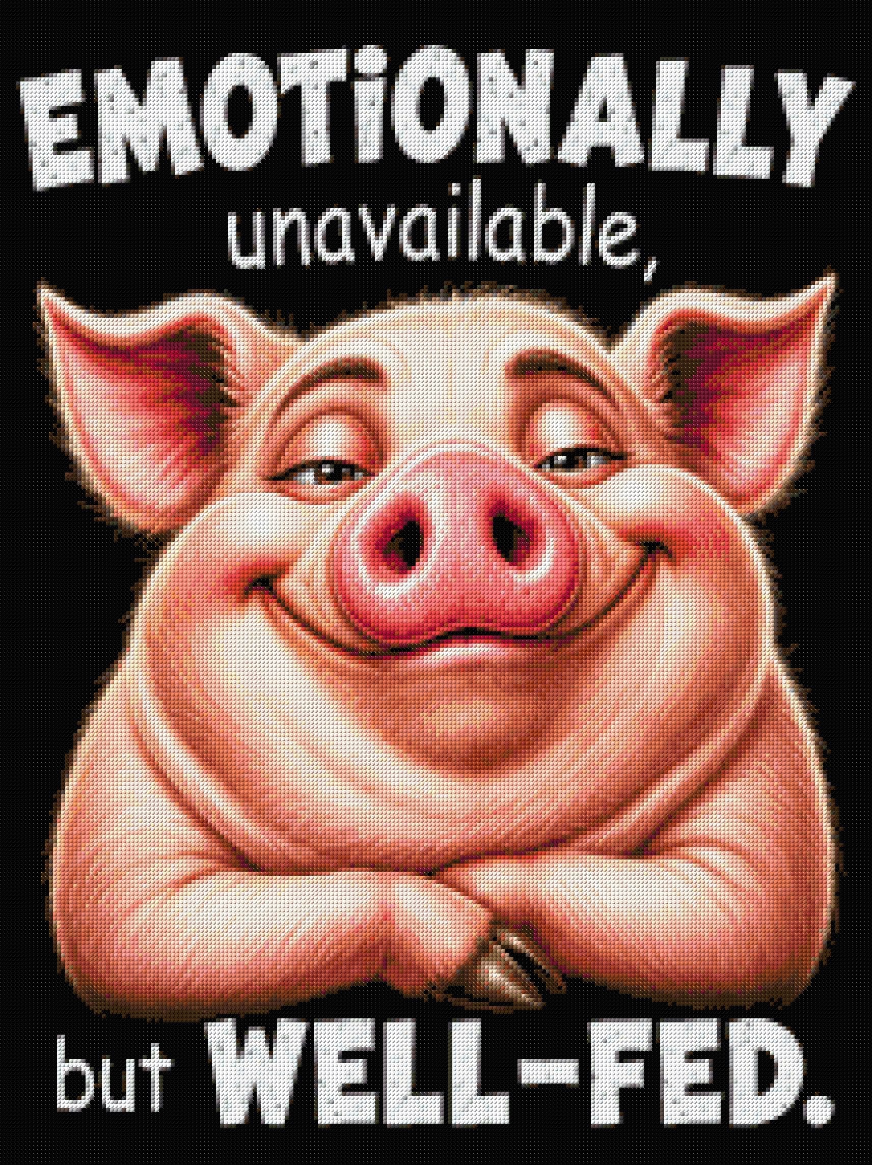 A content pig with text 'Emotionally unavailable, but well-fed.' Size - 60cm x 80cm