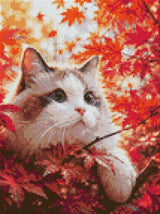 Cat with blue eyes in red autumn leaves, looking curiously. Size - 30cm x 40cm