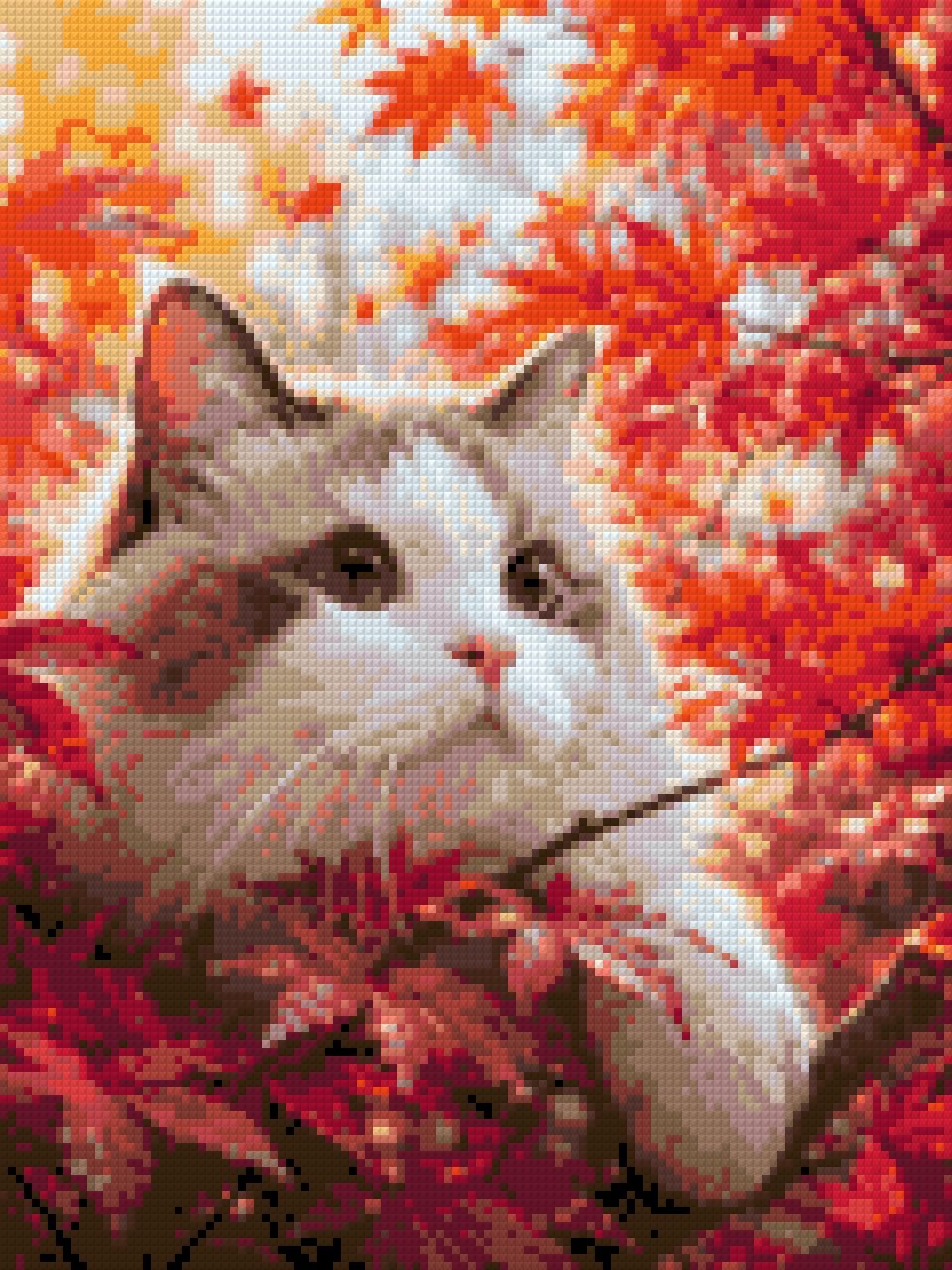 Cat with blue eyes in red autumn leaves, looking curiously. Size - 30cm x 40cm