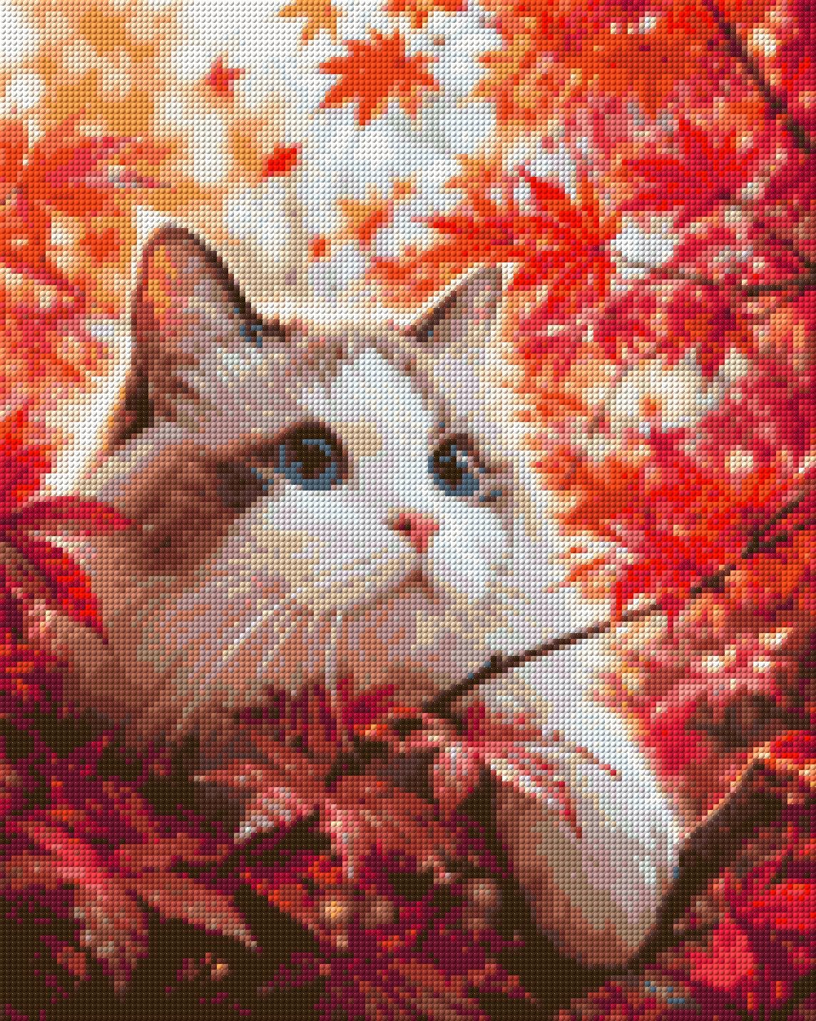 Cat with blue eyes in red autumn leaves, looking curiously. Size - 40cm x 50cm