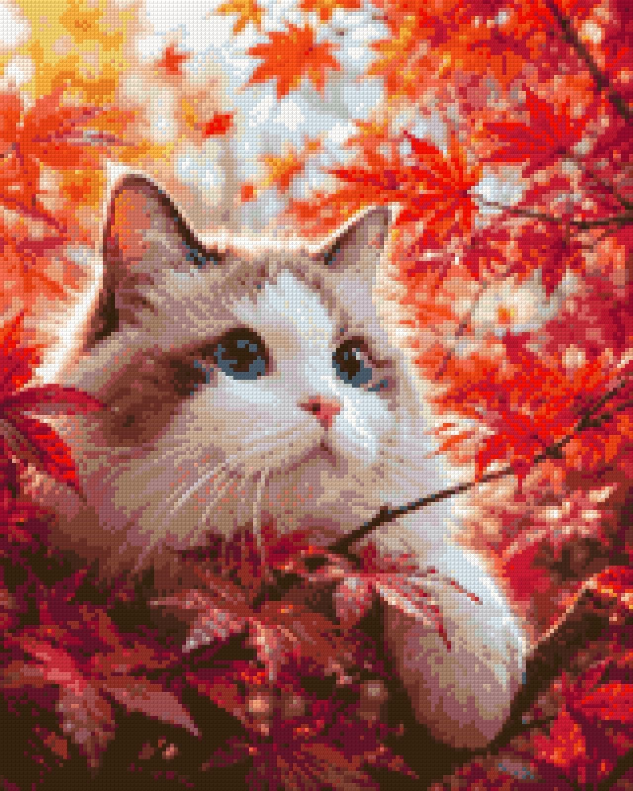 Cat with blue eyes in red autumn leaves, looking curiously. Size - 40cm x 50cm