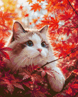 Cat with blue eyes in red autumn leaves, looking curiously. Size - 40cm x 50cm