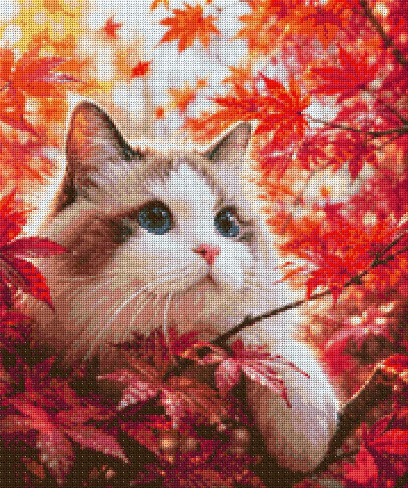 Cat with blue eyes in red autumn leaves, looking curiously. Size - 50cm x 60cm