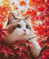 Cat with blue eyes in red autumn leaves, looking curiously. Size - 50cm x 60cm