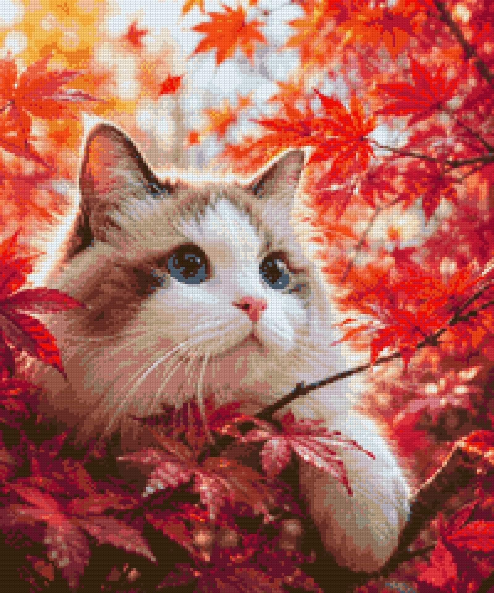 Cat with blue eyes in red autumn leaves, looking curiously. Size - 50cm x 60cm