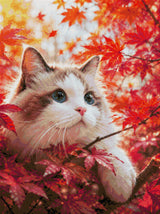 Cat with blue eyes in red autumn leaves, looking curiously. Size - 60cm x 80cm