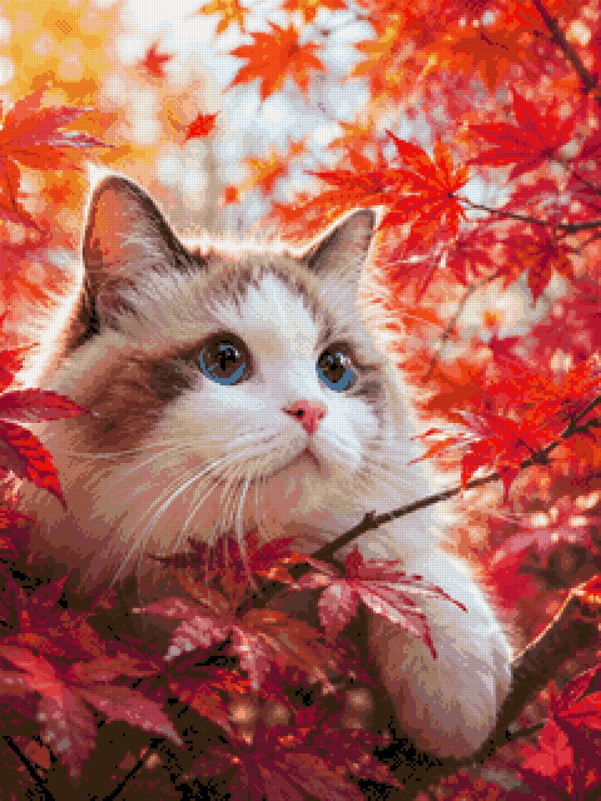 Cat with blue eyes in red autumn leaves, looking curiously. Size - 60cm x 80cm