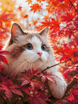 Cat with blue eyes in red autumn leaves, looking curiously. Size - 60cm x 80cm