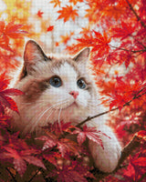 Cat with blue eyes in red autumn leaves, looking curiously. Size - 80cm x 100cm