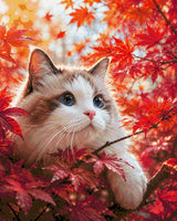 Cat with blue eyes in red autumn leaves, looking curiously. Size - 80cm x 100cm