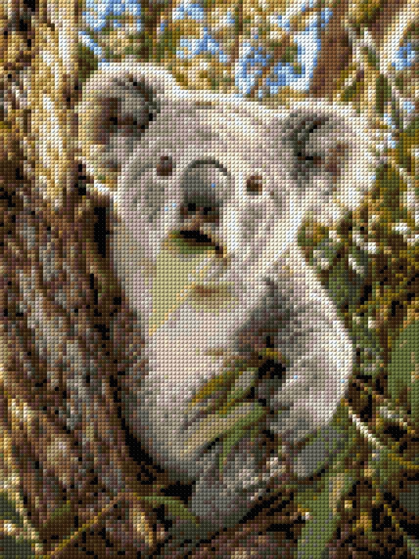 Koala munching on a eucalyptus leaf in a tree. Size - 30cm x 40cm