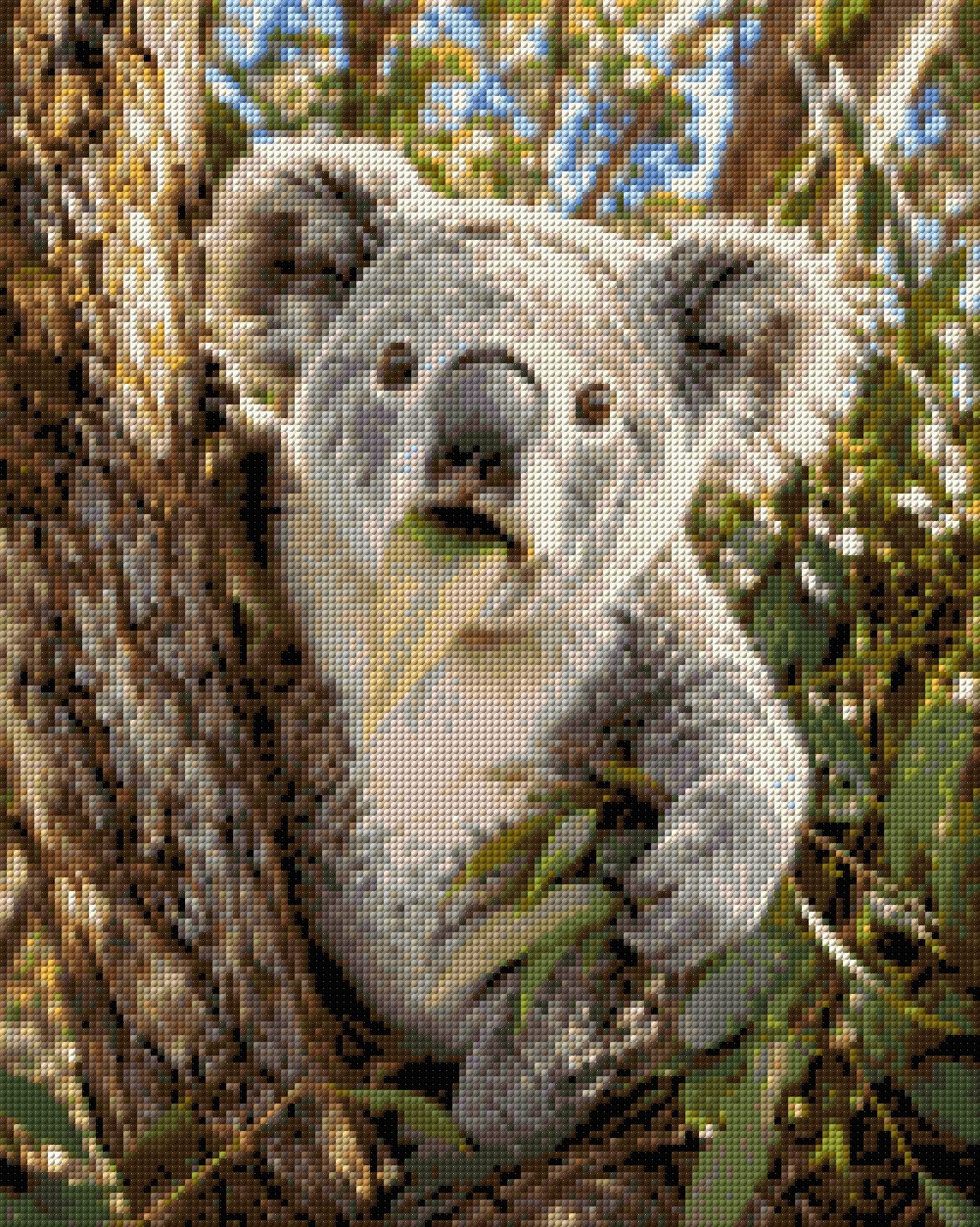 Koala munching on a eucalyptus leaf in a tree. Size - 40cm x 50cm
