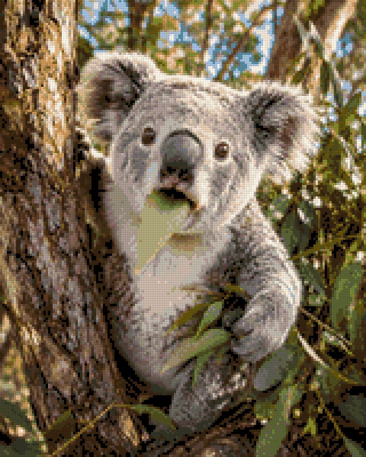 Koala munching on a eucalyptus leaf in a tree. Size - 40cm x 50cm