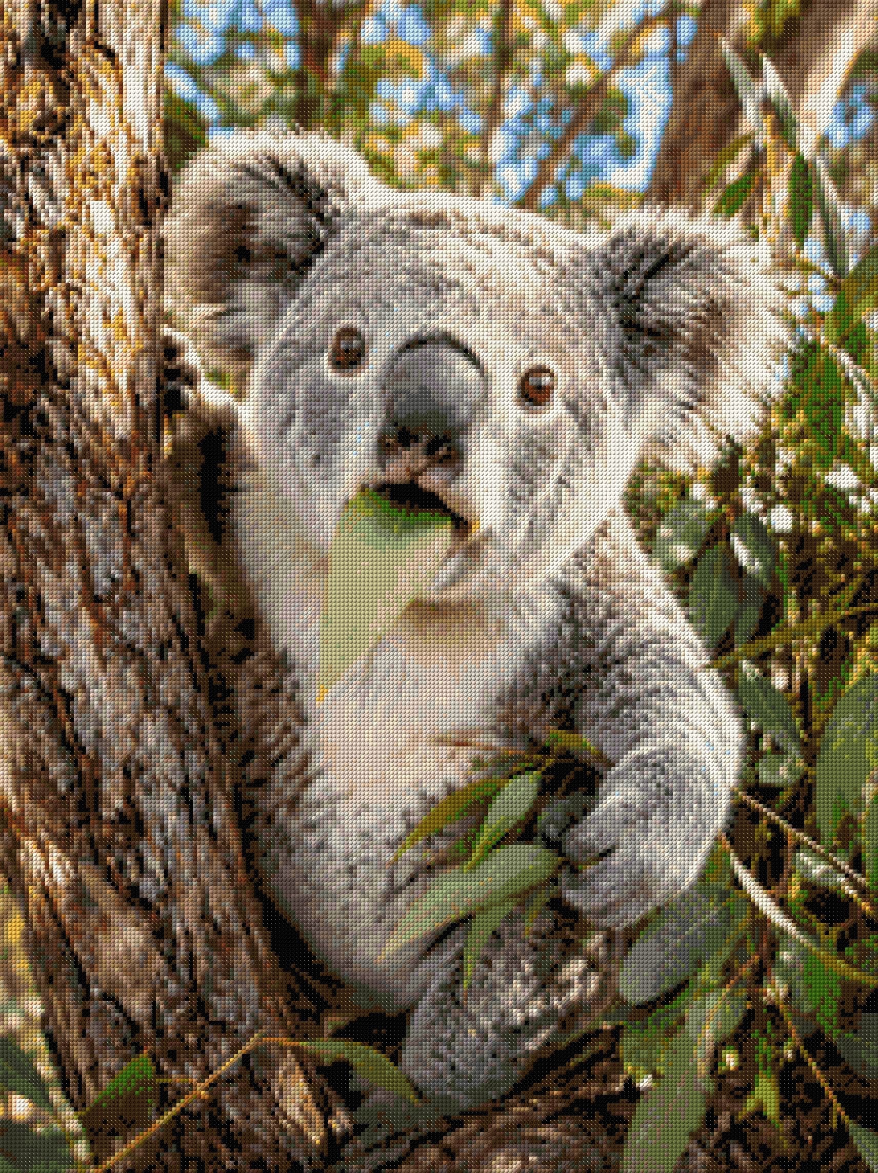 Koala munching on a eucalyptus leaf in a tree. Size - 60cm x 80cm
