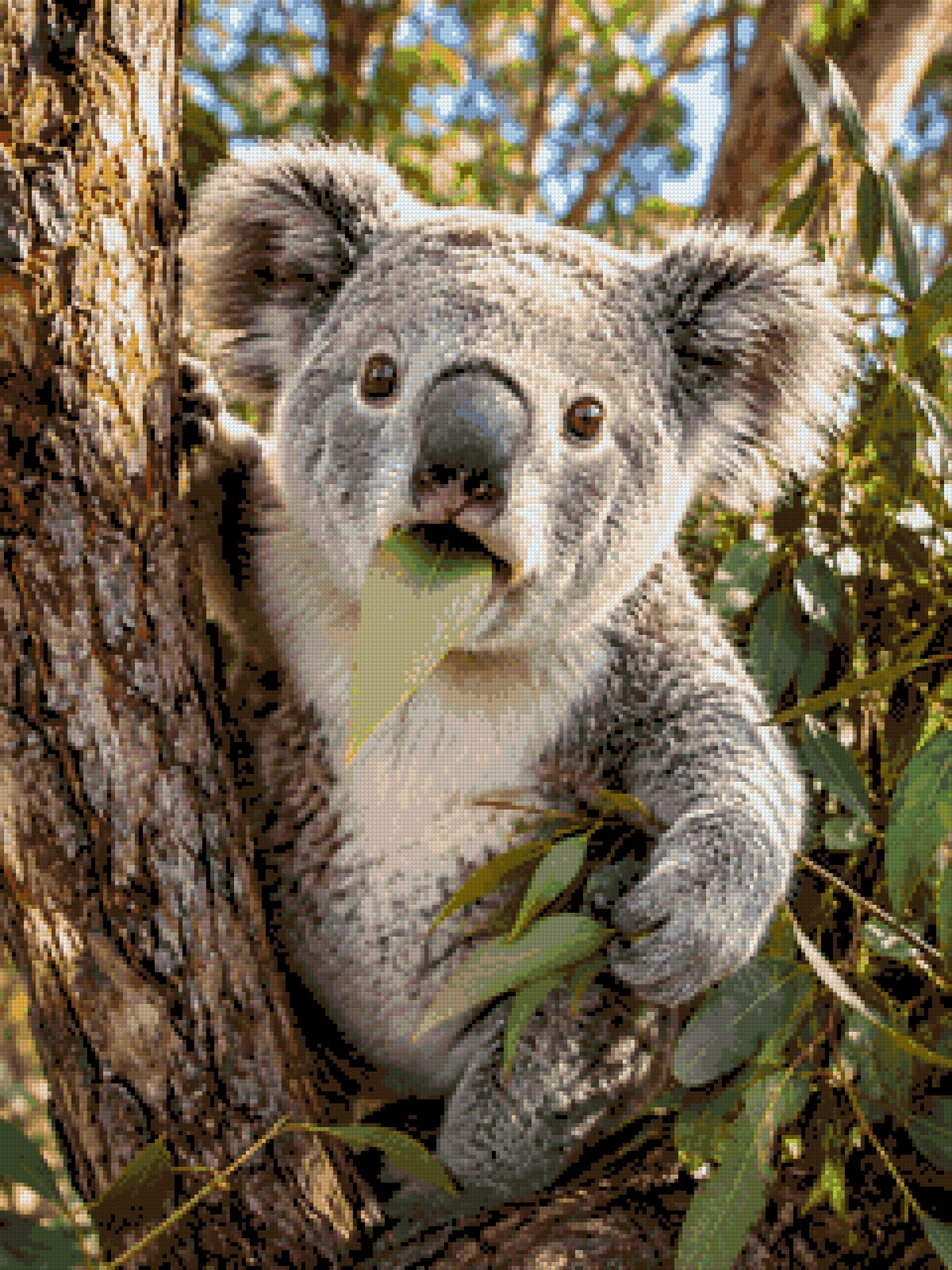 Koala munching on a eucalyptus leaf in a tree. Size - 60cm x 80cm