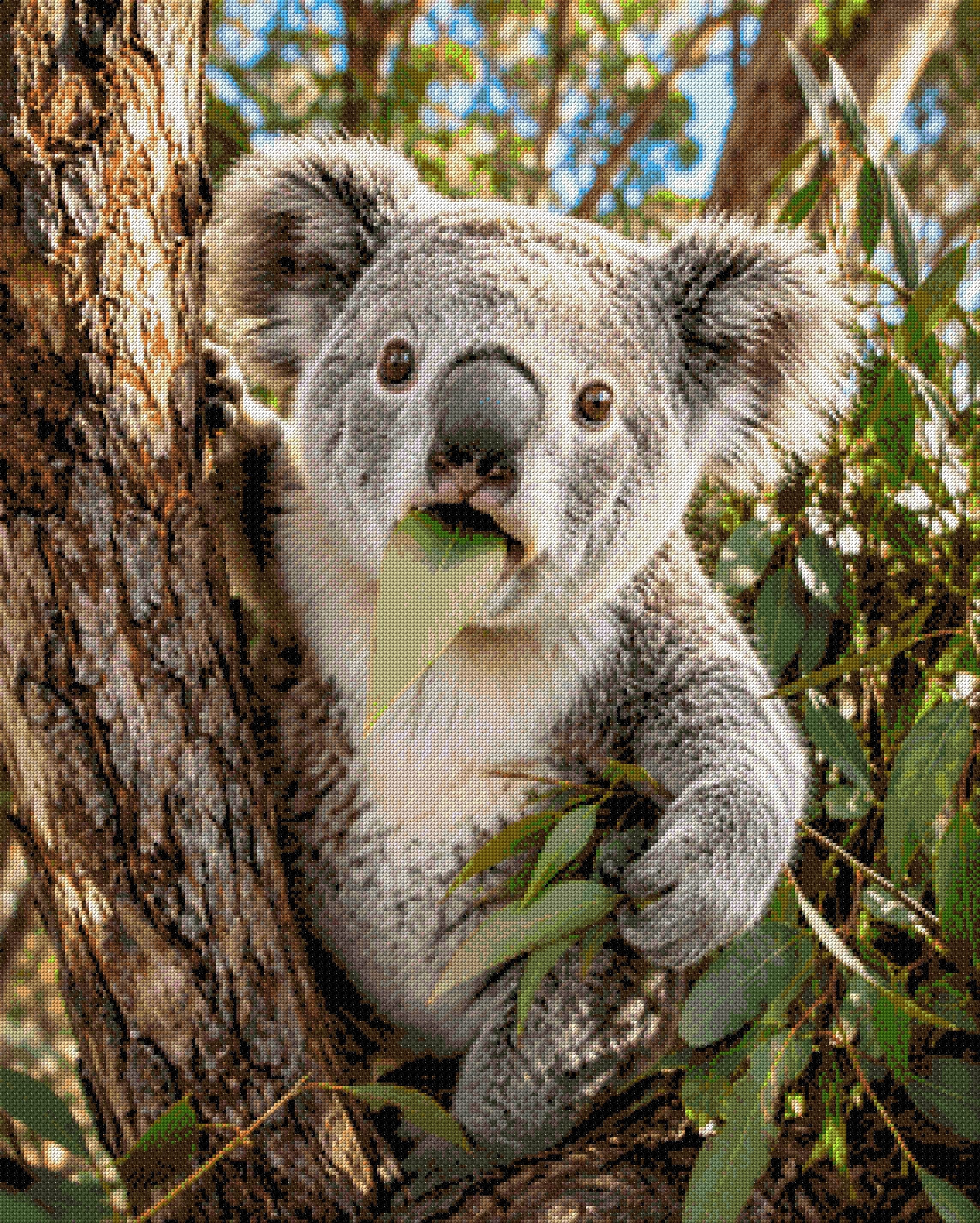 Koala munching on a eucalyptus leaf in a tree. Size - 80cm x 100cm