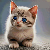 A kitten with striking blue eyes looks curiously ahead. Size - 100cm x 100cm