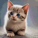A kitten with striking blue eyes looks curiously ahead. Size - 30cm x 30cm