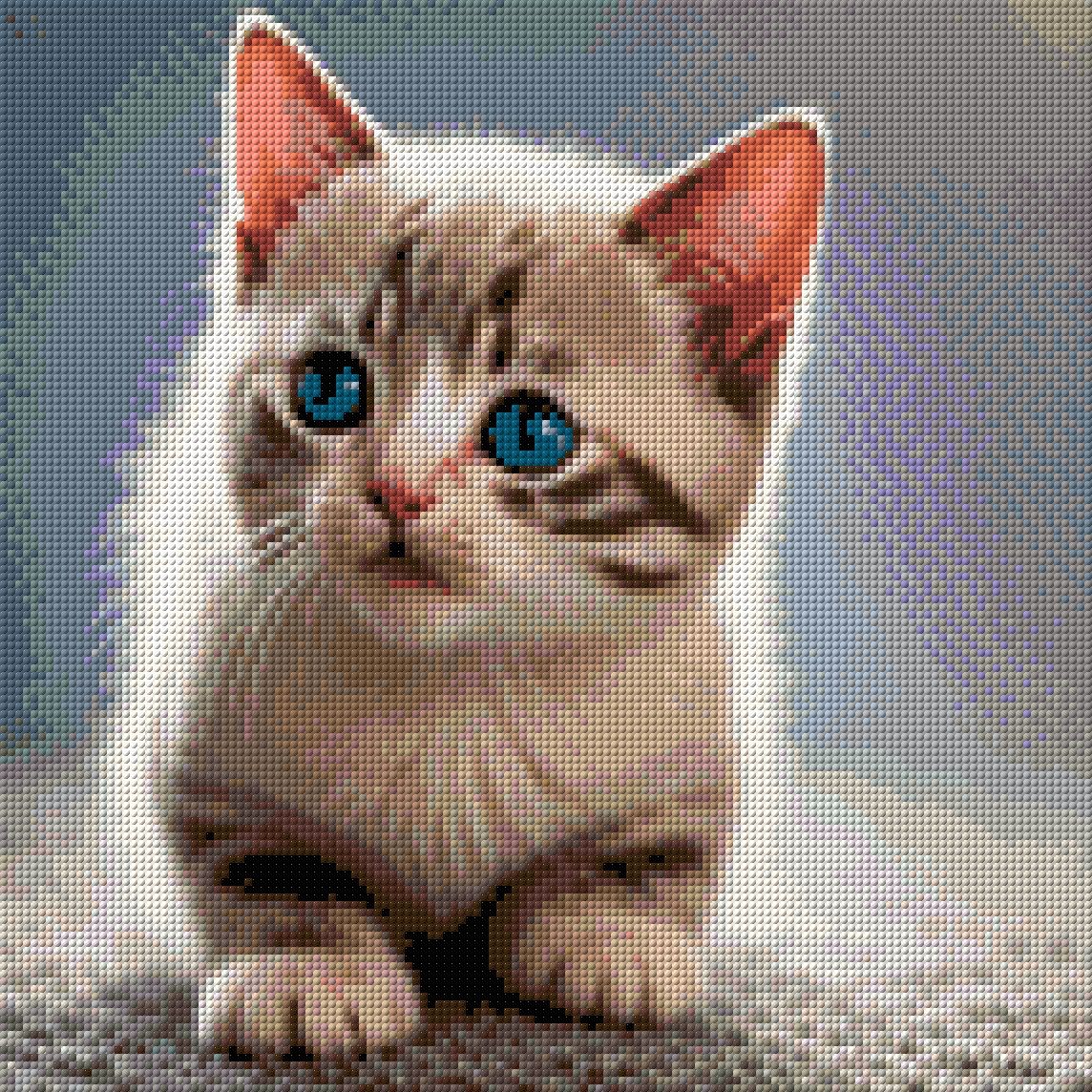 A kitten with striking blue eyes looks curiously ahead. Size - 40cm x 40cm