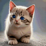A kitten with striking blue eyes looks curiously ahead. Size - 40cm x 40cm