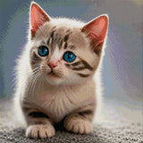 A kitten with striking blue eyes looks curiously ahead. Size - 50cm x 50cm