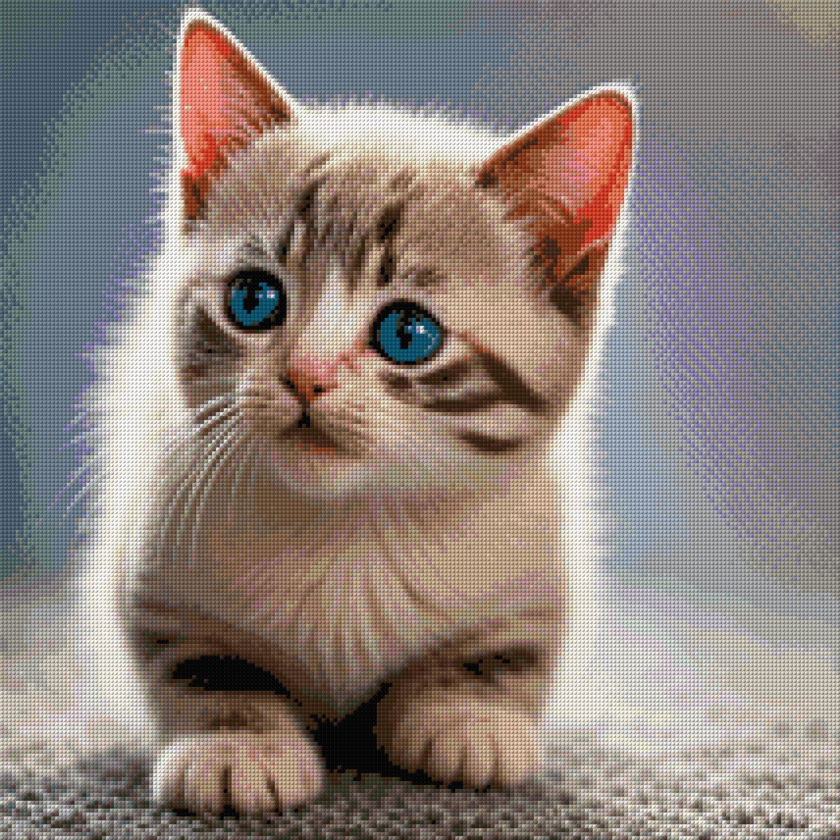 A kitten with striking blue eyes looks curiously ahead. Size - 60cm x 60cm