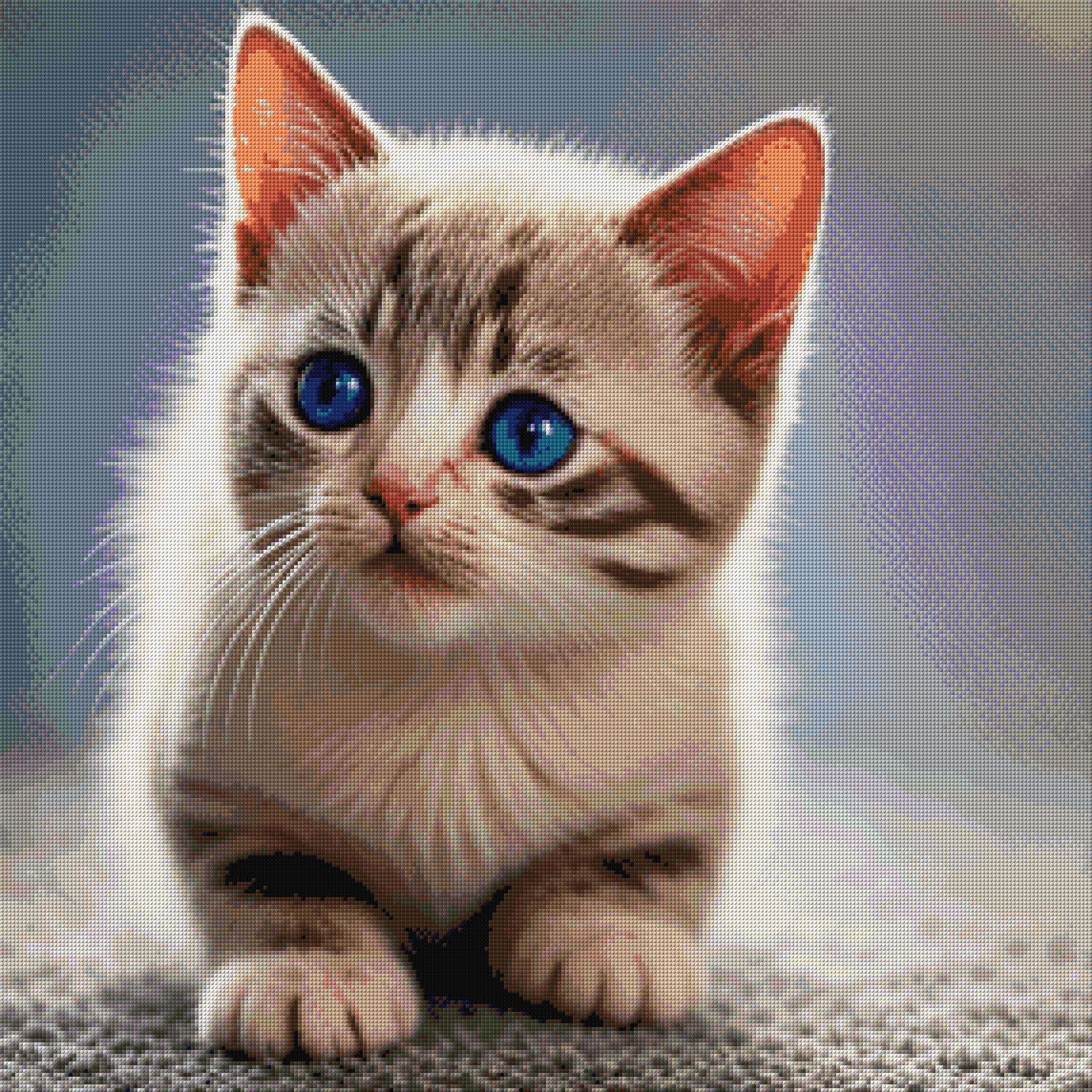 A kitten with striking blue eyes looks curiously ahead. Size - 80cm x 80cm