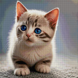 A kitten with striking blue eyes looks curiously ahead. Size - 80cm x 80cm