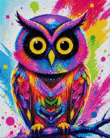 colourful owl with bright feathers and large eyes on a paint-splattered background. Size - 40cm x 50cm
