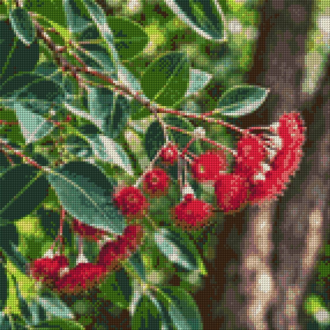 Eucalyptus branch with red blossoms and green leaves in sunlight. Size - 40cm x 40cm