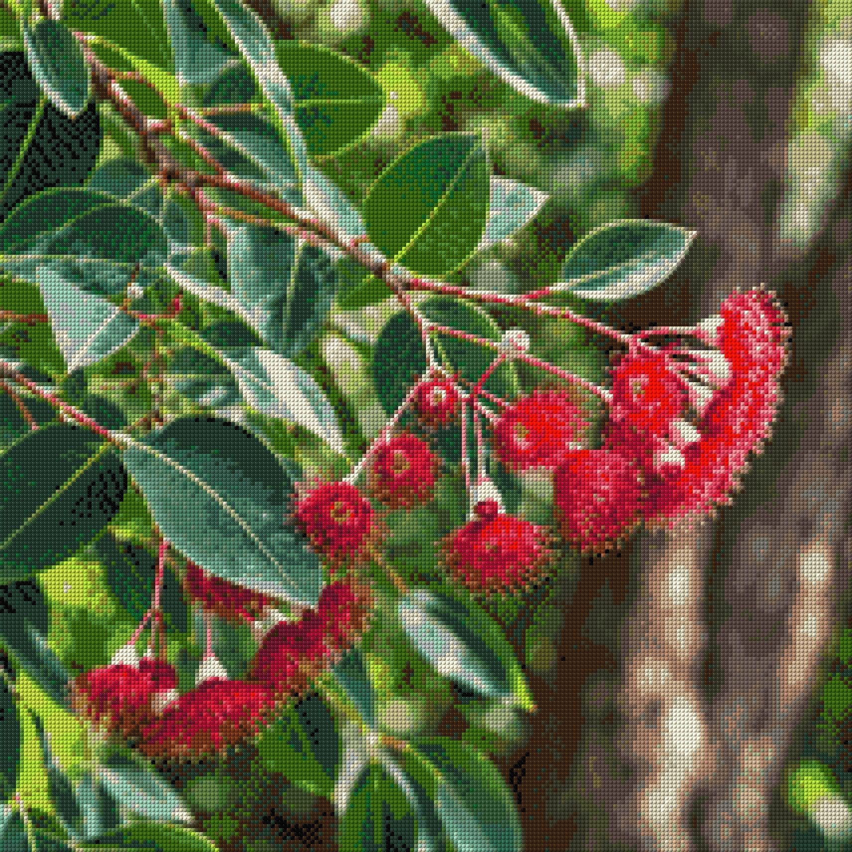 Eucalyptus branch with red blossoms and green leaves in sunlight. Size - 60cm x 60cm