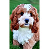 Diamond Painting Kit - Waffles the Puppy