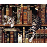 Diamond Painting Kit - Cat on Bookshelf - Full Coverage, Square or Round Drill - Multiple Sizes - Poured Glue - Diamond Pixels Australia