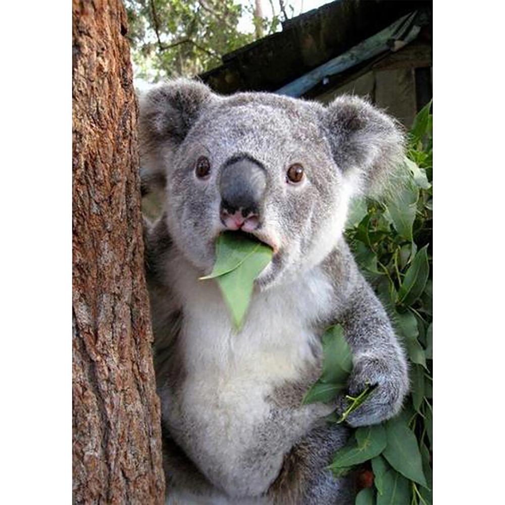 Diamond Painting Kit - Koala - Full Coverage, Square or Round Drill - Multiple Sizes - Poured Glue - Diamond Pixels Australia
