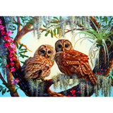 Diamond Painting Kit - Owls - Full Coverage, Square or Round Drill - Multiple Sizes - Poured Glue - Diamond Pixels Australia