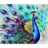 Diamond Painting Kit - Peacock - Full Coverage, Square or Round Drill - Multiple Sizes - Poured Glue - Diamond Pixels Australia