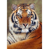 Diamond Painting Kit - Tiger - Full Coverage, Square or Round Drill - Multiple Sizes - Poured Glue - Diamond Pixels Australia